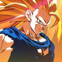 Goku (Z-End)