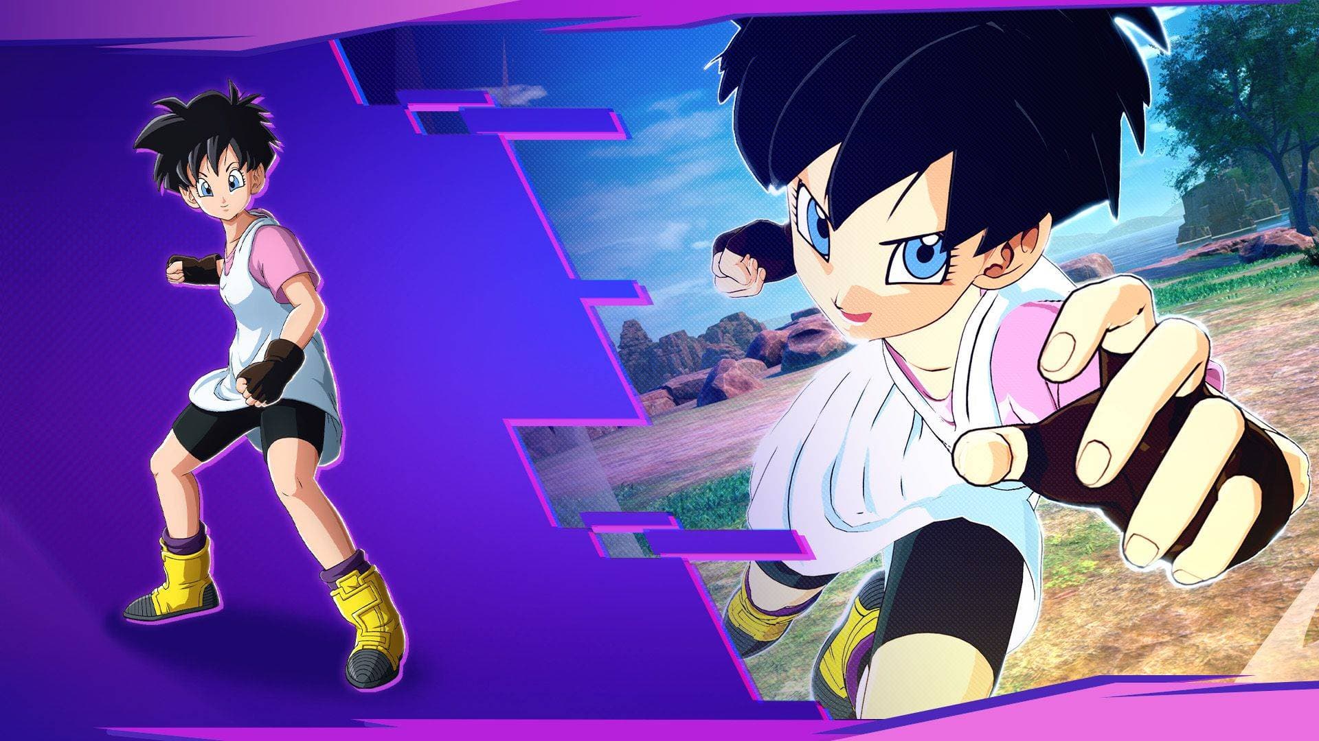 Videl - Base